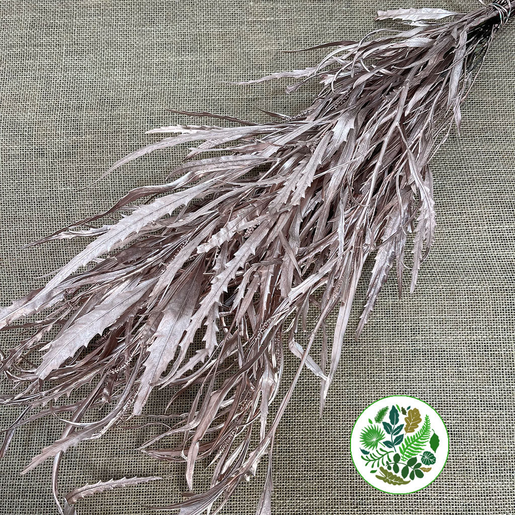 Grevillea 'Foliage' (Painted Metalic) (Various Colours) 80cm