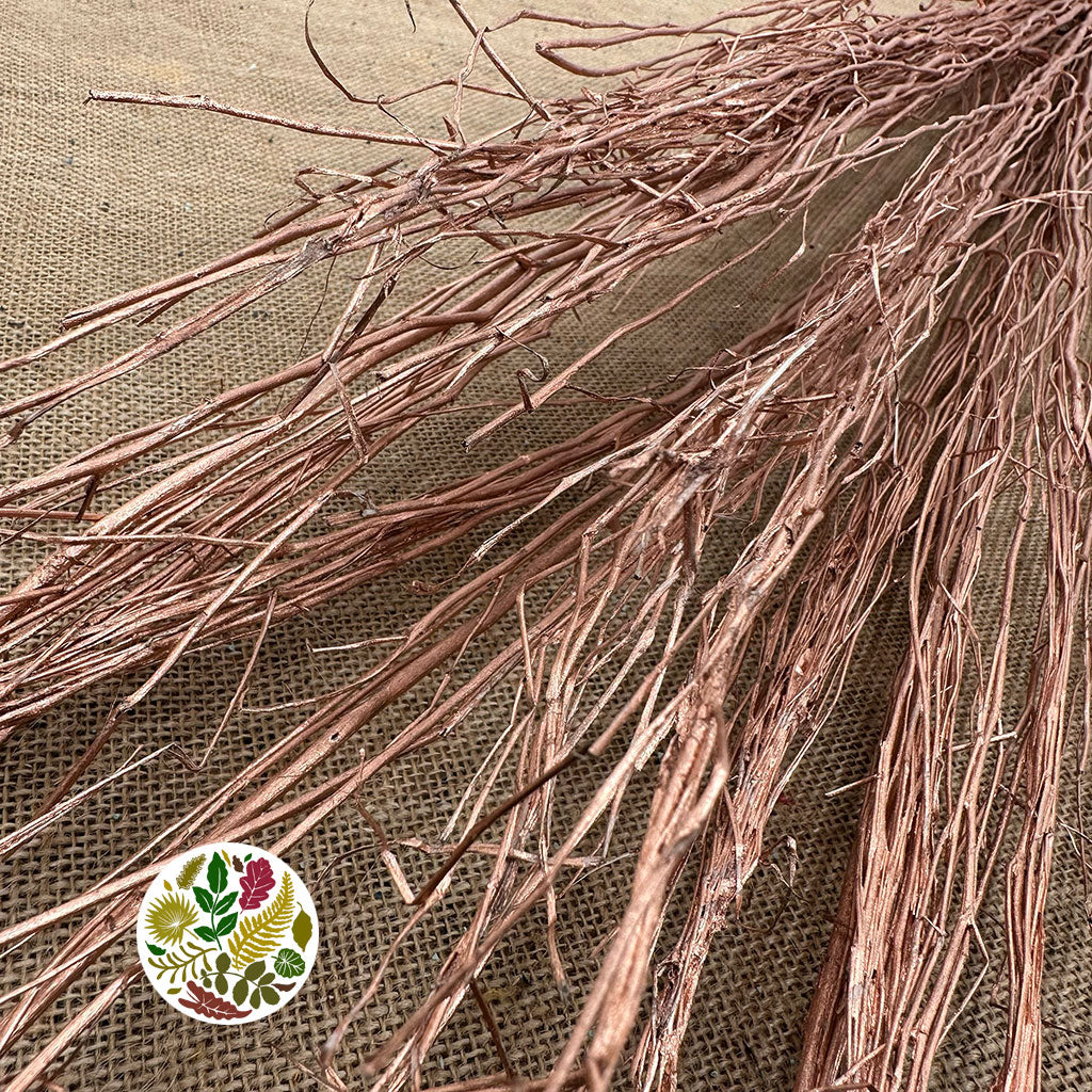 Twigs 'White Lady' (Painted) (DRY) (Various Colours) 120cm (250g)