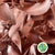 Ruscus 'Trailing' Fresh (Painted Metallic Colours) (Various)