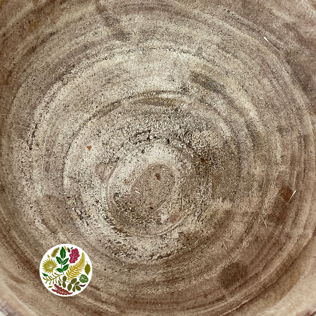 Bark Pot &#39;Ulmea&#39; (DRY) (Various Sizes)
