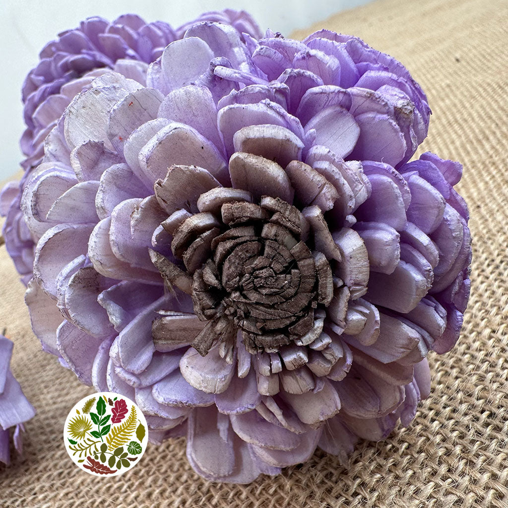Shola (Man Made) 'Beauty Rose' (Various Colours) (7pcs) 60cm