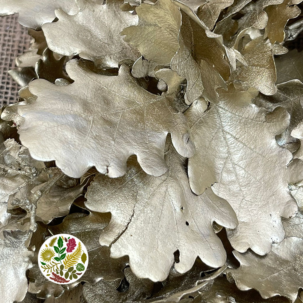 Oak 'Stabilised' (Painted) (DRY) (Various Colours)