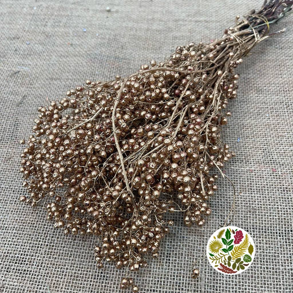 Schinus Molle Fruit (Painted) (DRY) (Various Colours)