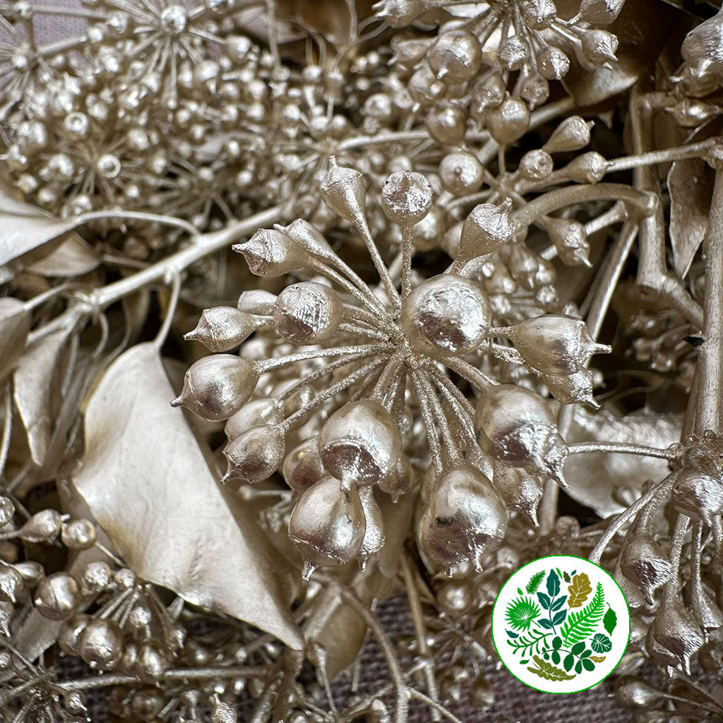 Ivy 'Berried' (Painted) (Various Colours) (300g)