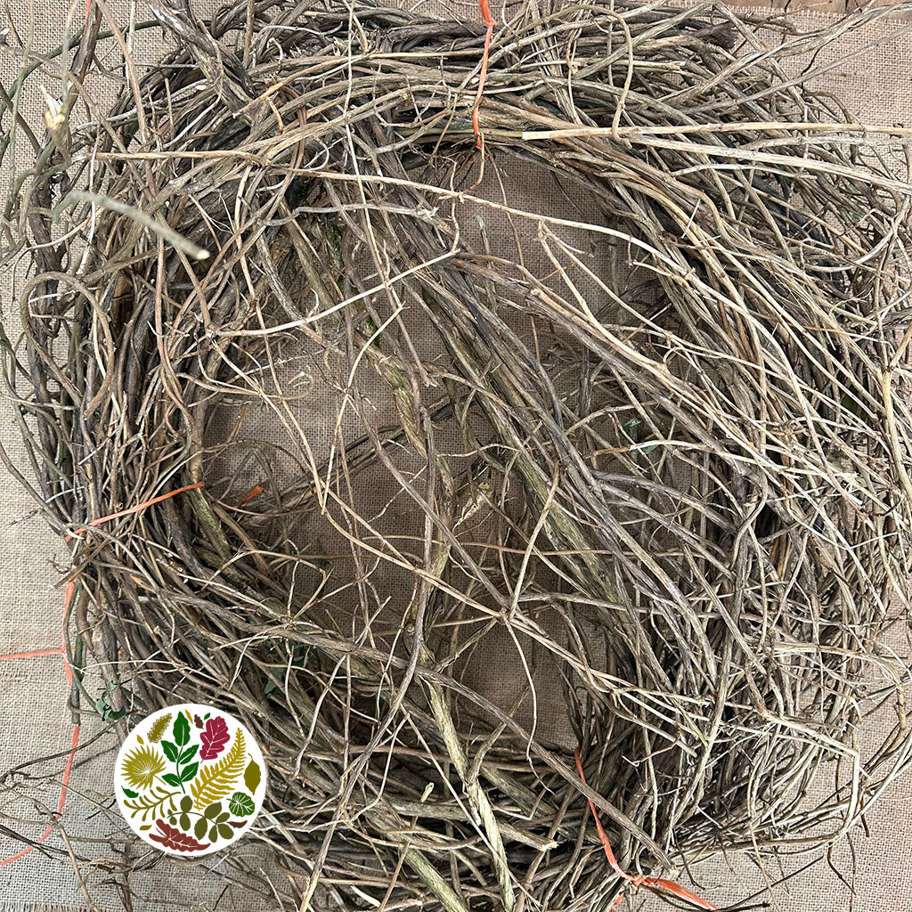 Vine 'Honeysuckle' (Bundle x10 stems)