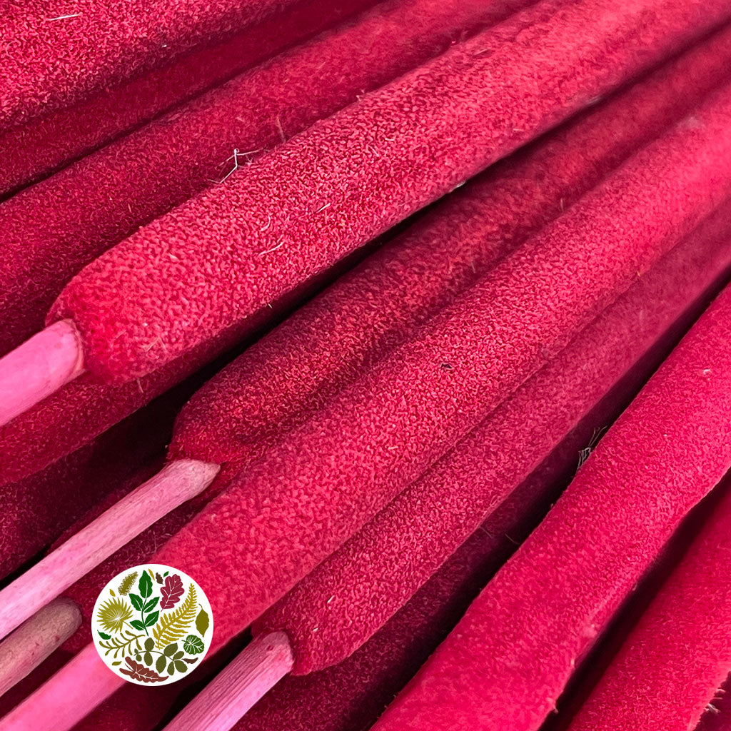 Grass 'Typha' (Mini Bull Rush) (Painted) (DRY) (Various Colours) (x50)