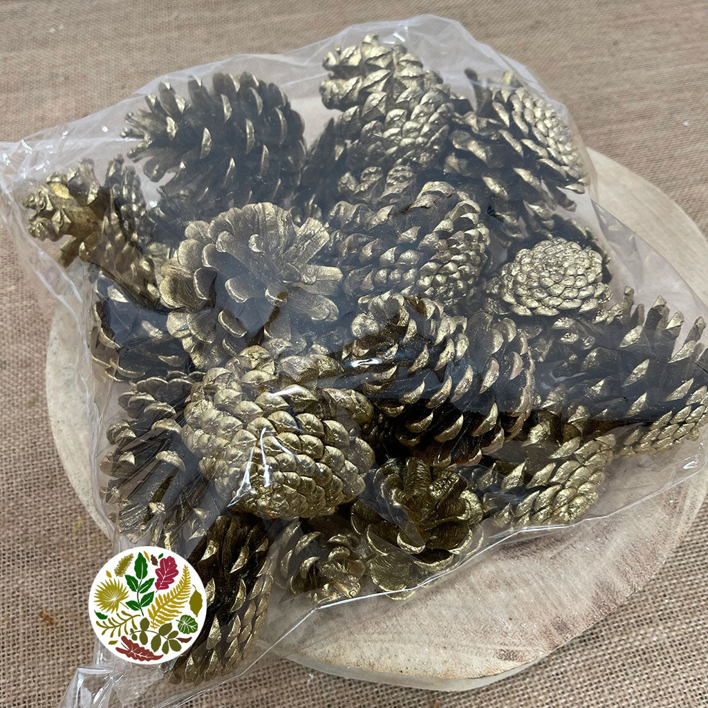 Cones 'Nigra' (Painted) (DRY) (Various Colours)