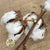 Cotton 'Stems' (DRY) (Various Sizes)