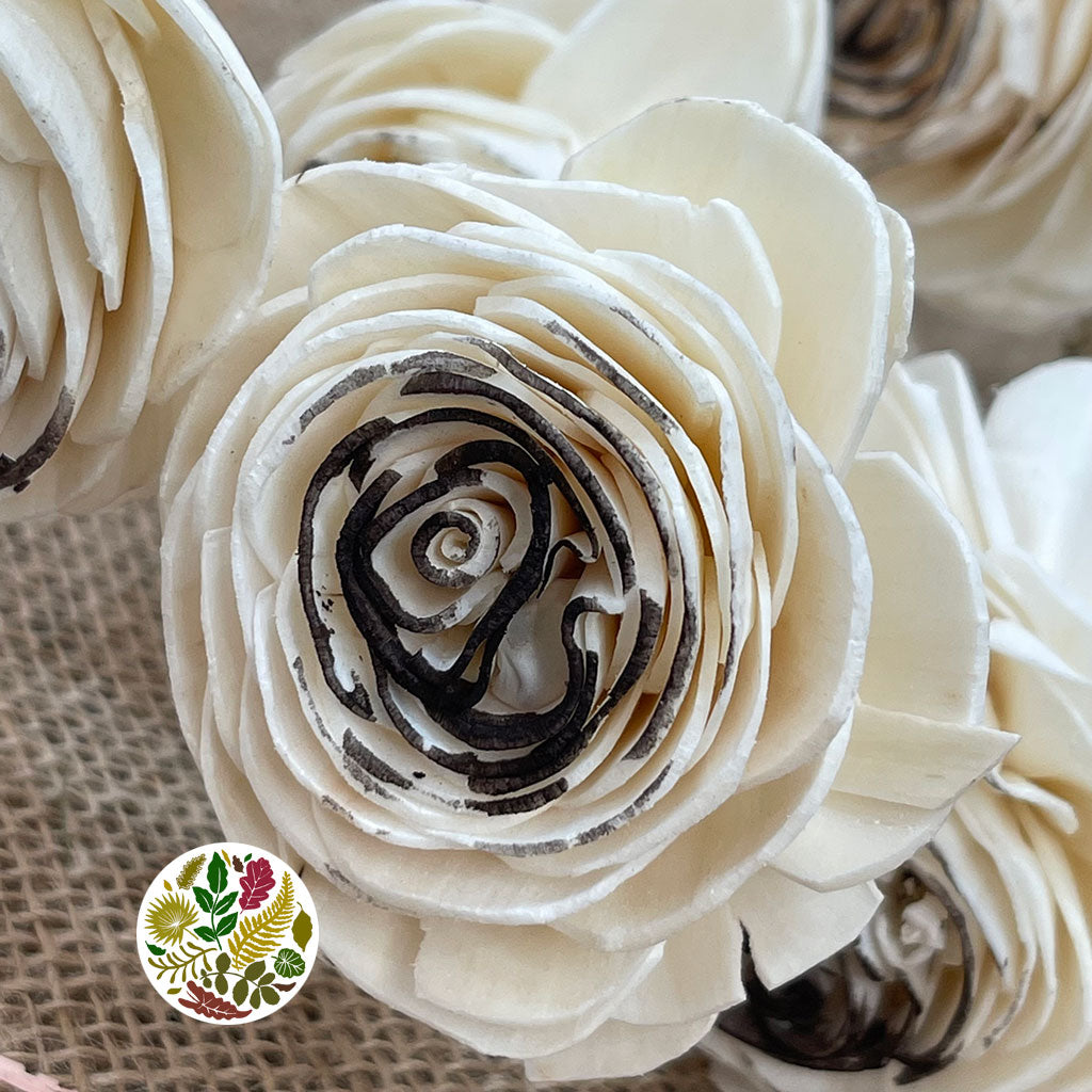 Shola &#39;Ranunculus&#39; (Various Colours) (7pcs) 60cm