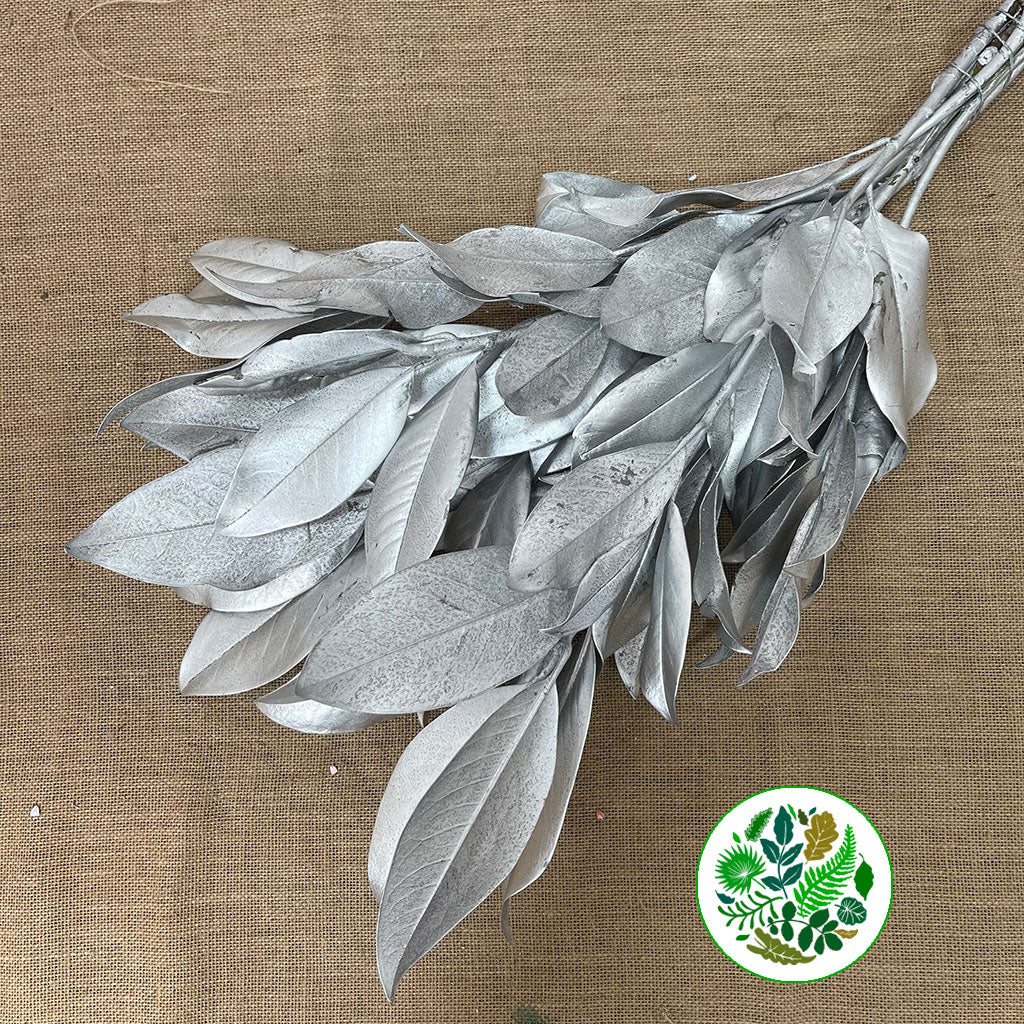 Magnolia &#39;Foliage&#39; (Painted Metallic) (Various Colours) 80cm (300g)