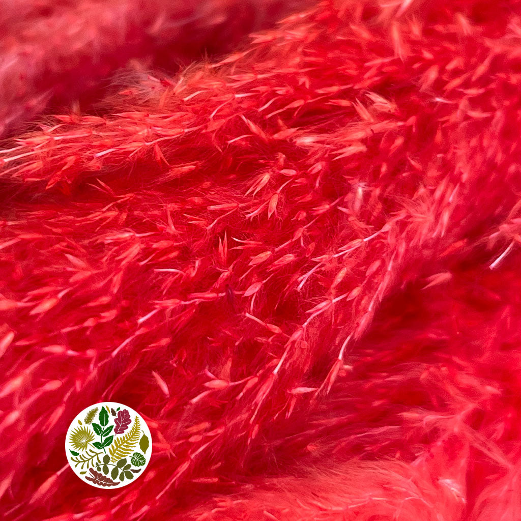 Grass 'Pampas' (Dadang) (Coloured) (DRY) (Various Sizes)