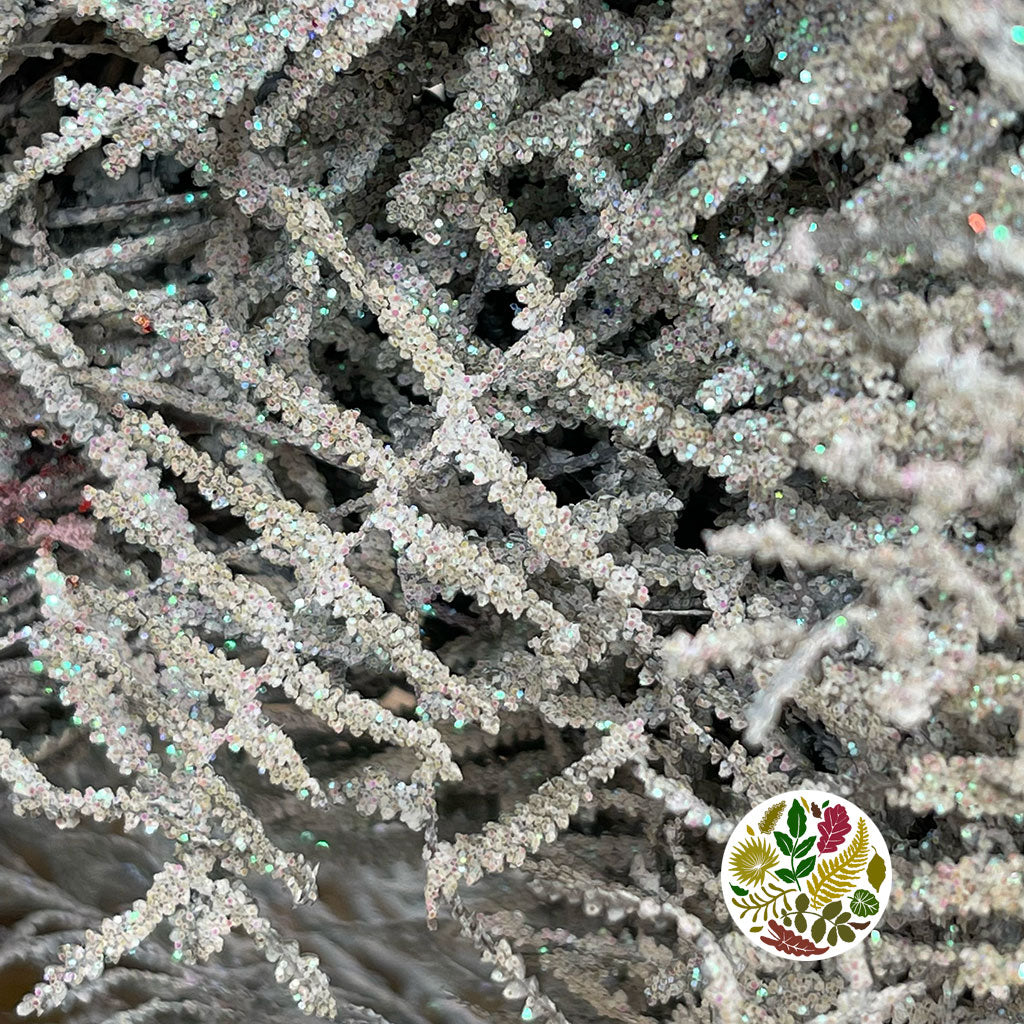 Fern &#39;Coral Fern&#39; (Painted or Glittered) (x10)