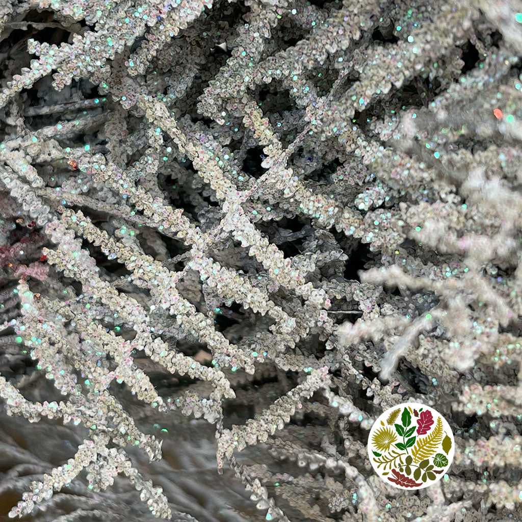 Fern 'Coral Fern' (Painted or Glittered) (x10)