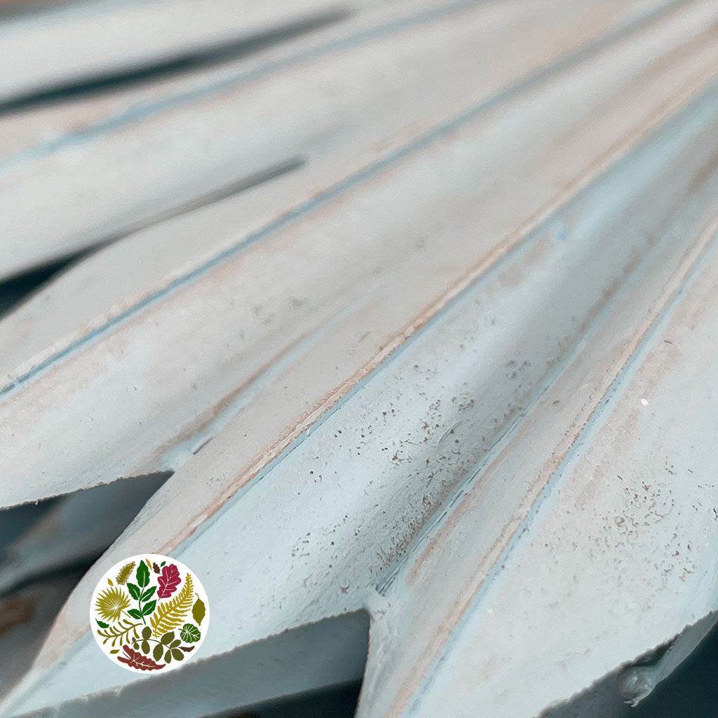 Palm 'Fan Palm' (Painted) (DRY) (Various Colours) (x5) 45-55cm