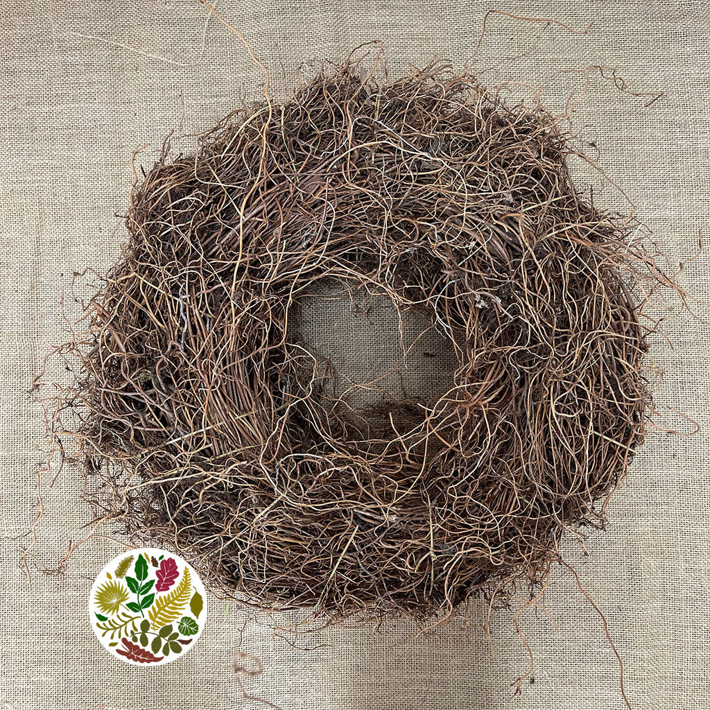 Wreath &#39;Fern Root&#39; (Natural) (DRY) (Various Sizes)