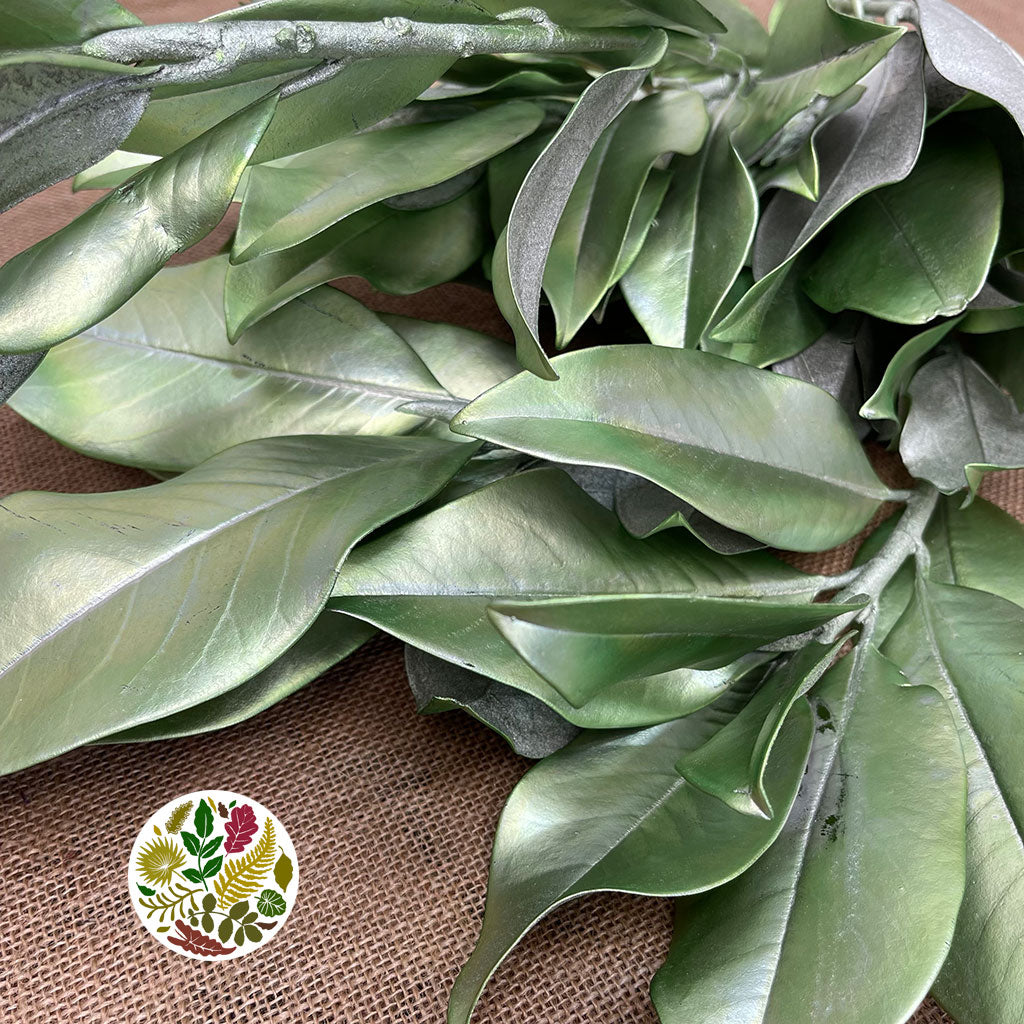 Magnolia &#39;Foliage&#39; (Painted Metallic) (Various Colours) 80cm (300g)