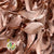 Ruscus 'Trailing' (Preserved & Painted) (DRY) (Various Colours)