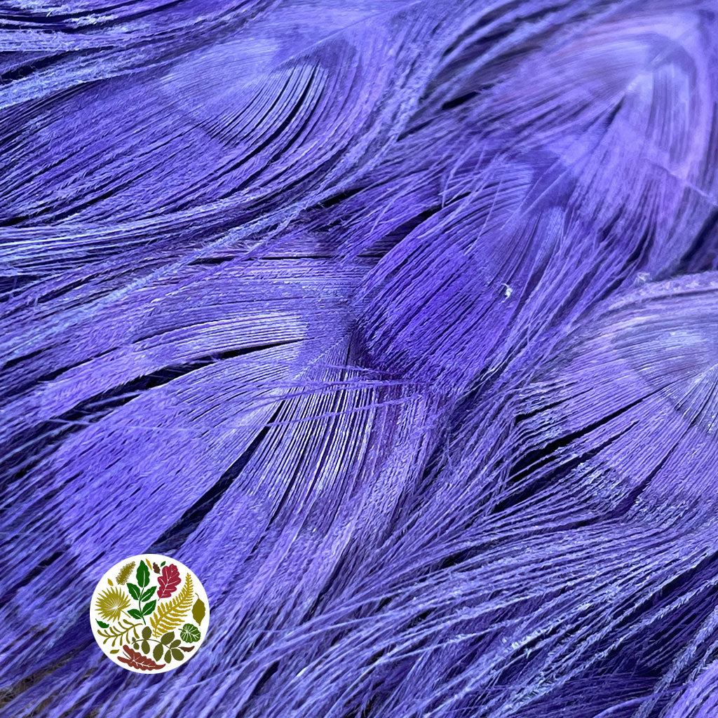 Feathers &#39;Peacock&#39; 90-100cm (Various Colours)