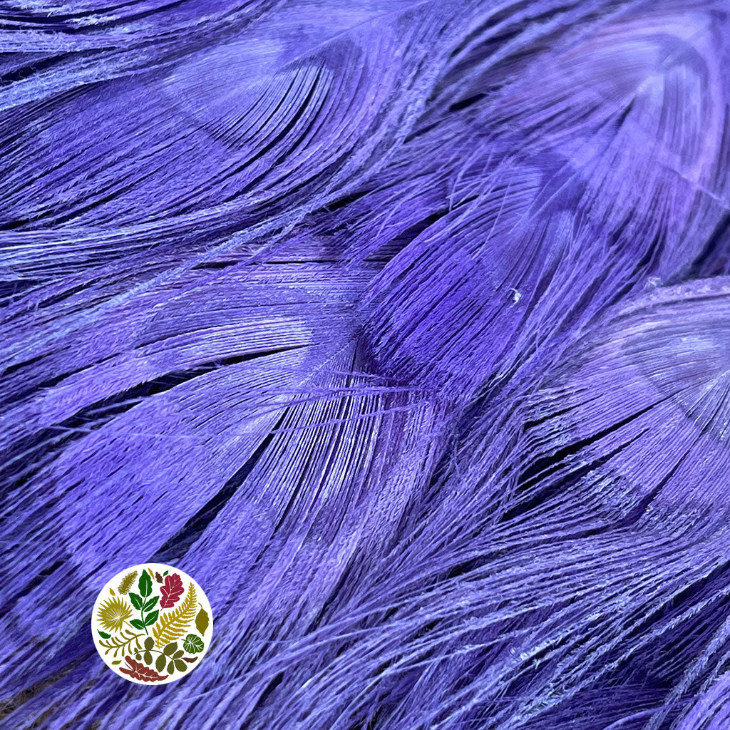 Feathers 'Peacock' 90-100cm (x10) (Various Colours)
