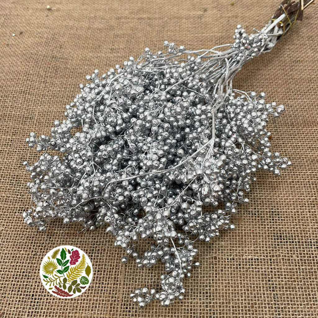 Schinus Molle Fruit (Painted) (DRY) (Various Colours)