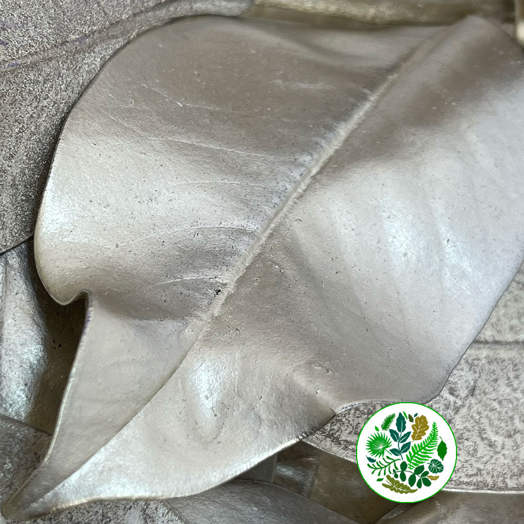 Magnolia 'Foliage' (Painted Metallic) (Various Colours) 80cm (300g)