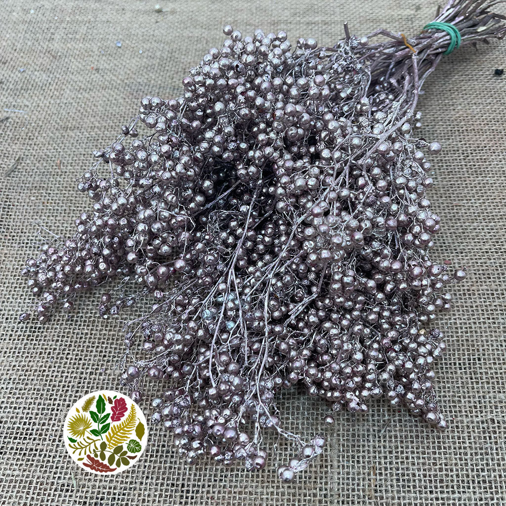 Schinus Molle Fruit (Painted) (DRY) (Various Colours)