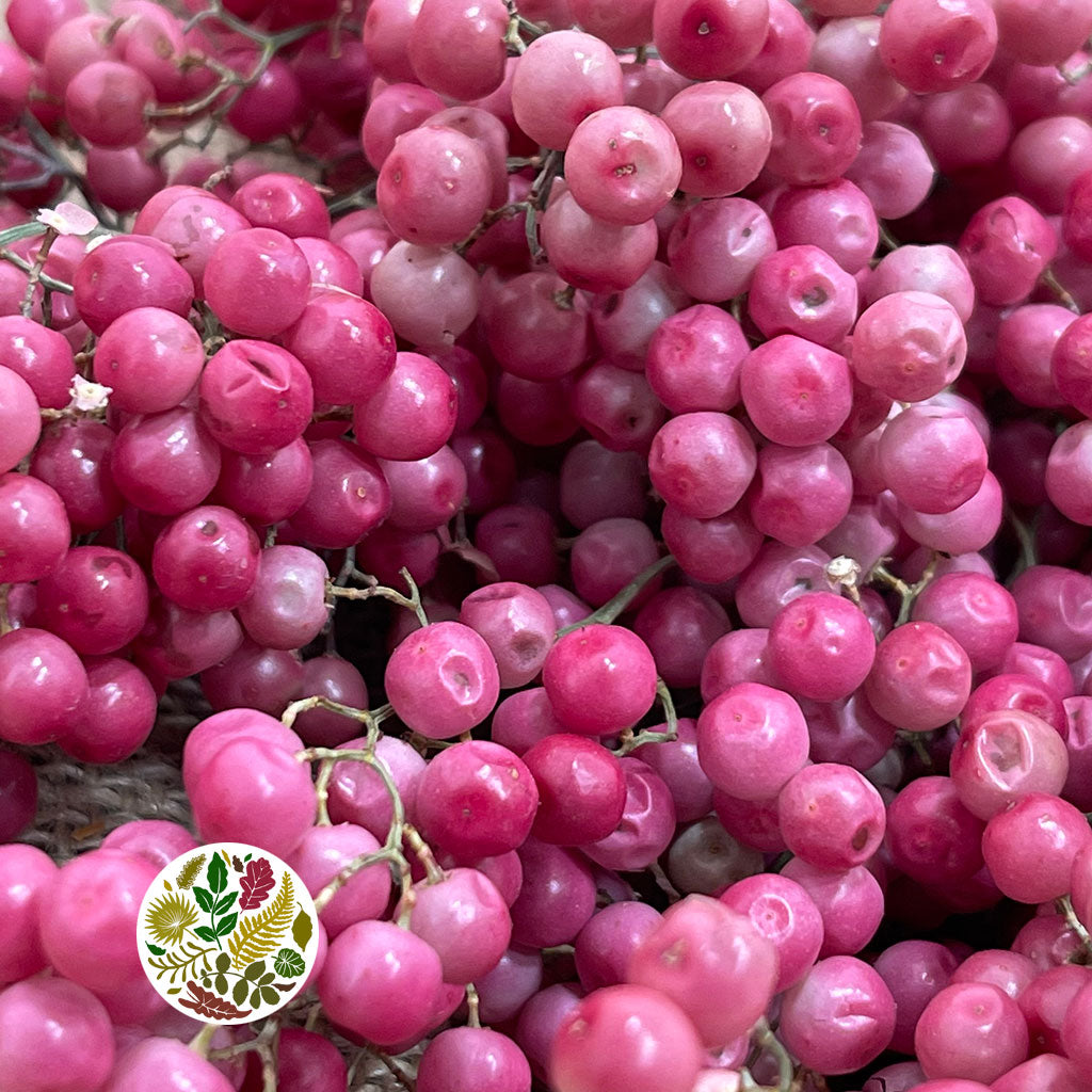 Schinus Molle Fruit (Natural Pink) (DRY) (Various Sizes)