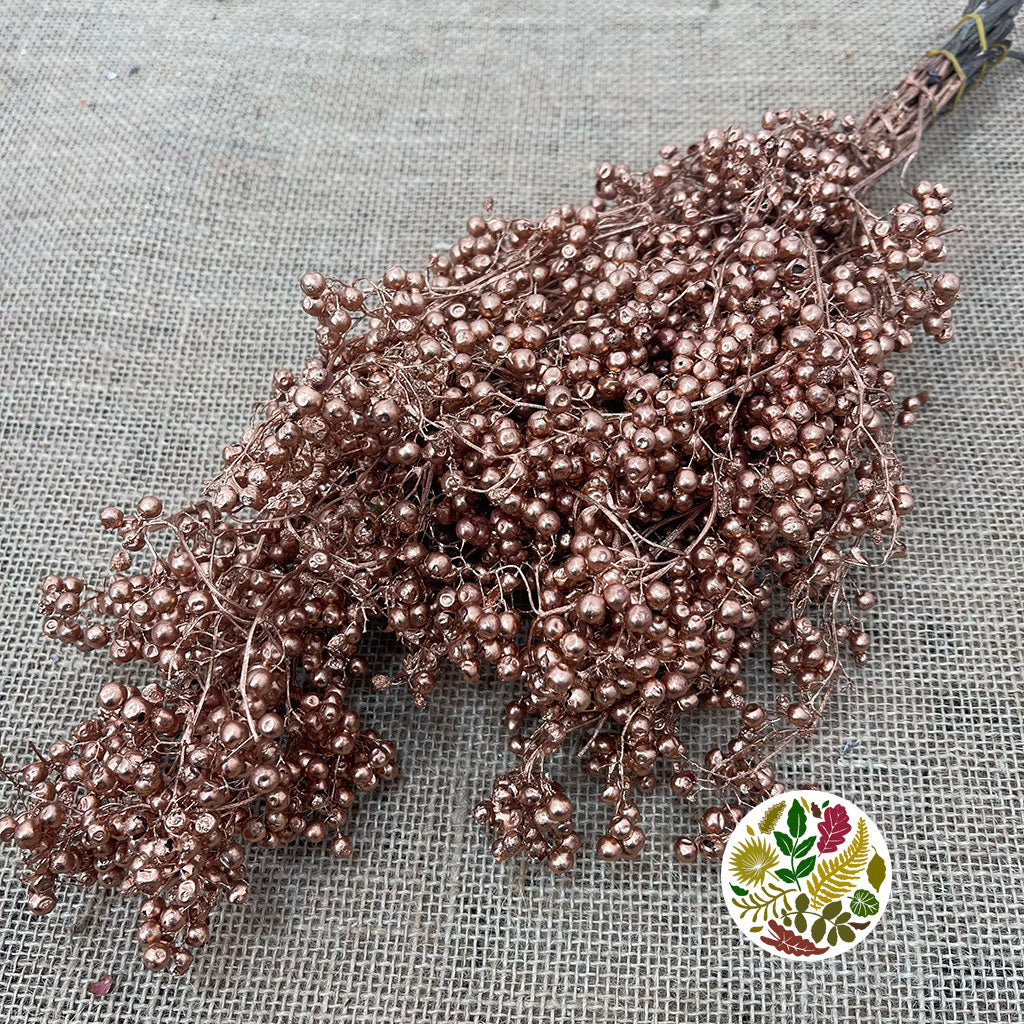 Schinus Molle Fruit (Painted) (DRY) (Various Colours)