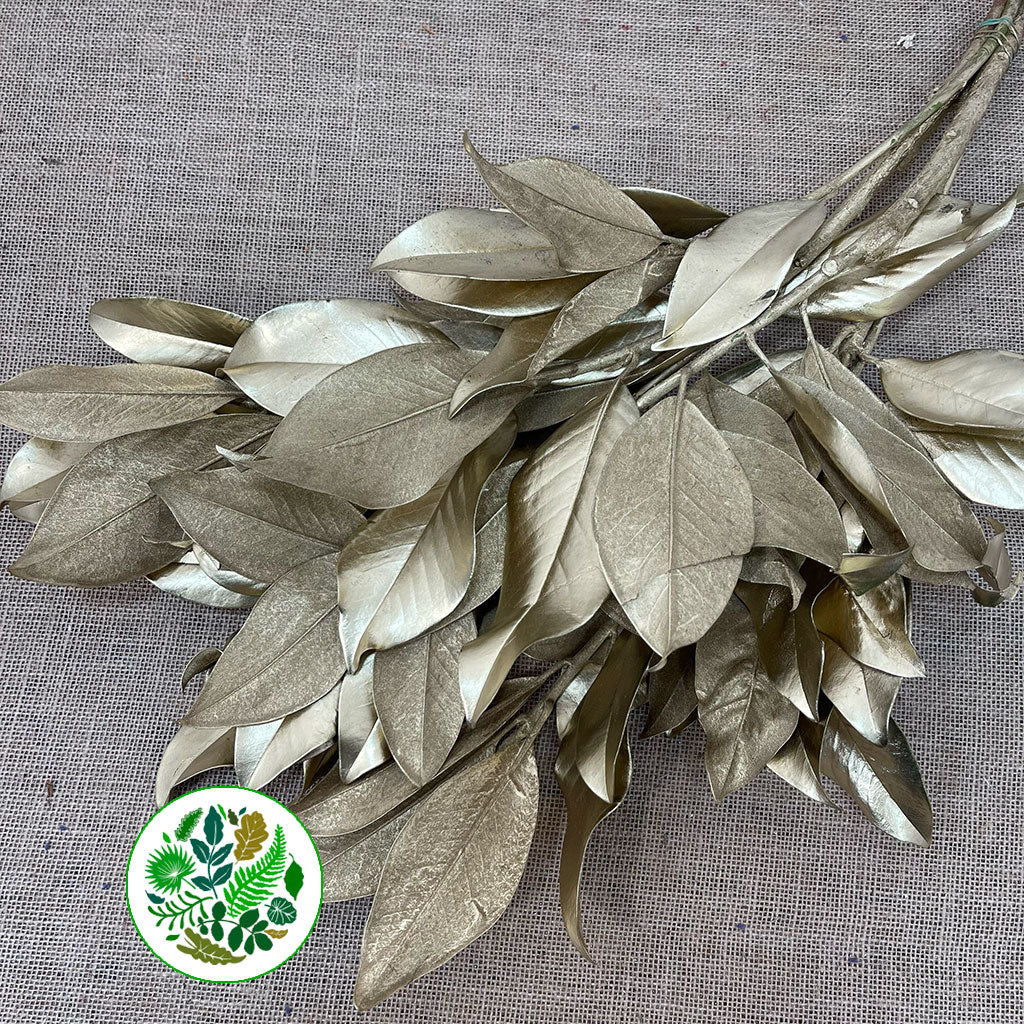 Magnolia &#39;Foliage&#39; (Painted Metallic) (Various Colours) 80cm (300g)