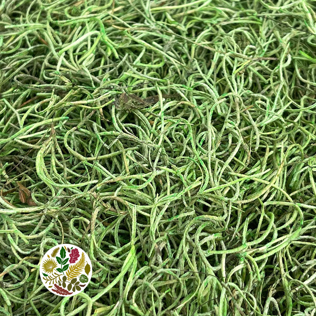 Moss &#39;Spanish Moss&#39; (DRY) (Various Colours)