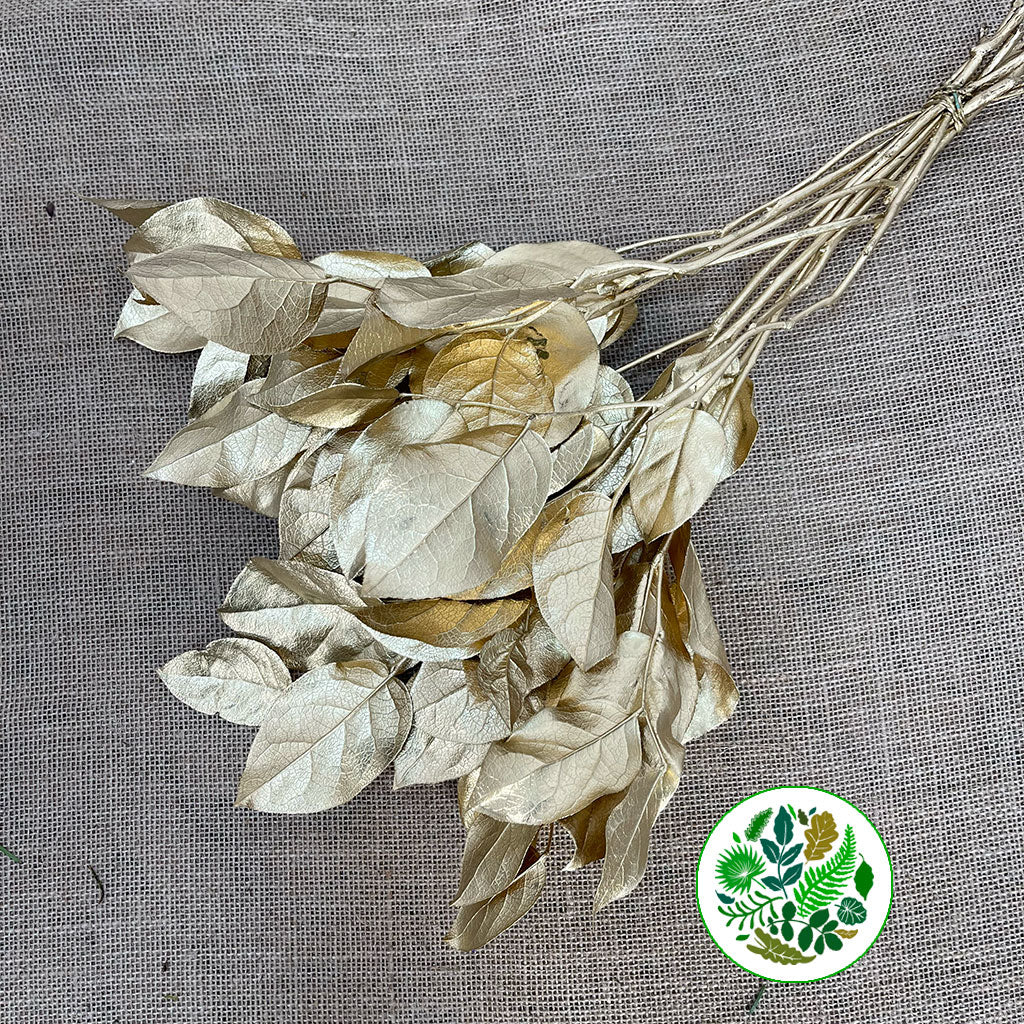 Salal (Painted) (Fresh) (Various Colours)