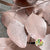 Eucalyptus 'Populus' (Preserved) (Painted) (DRY)