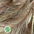 Artificial 'Panicle Grass' (Various Colours)