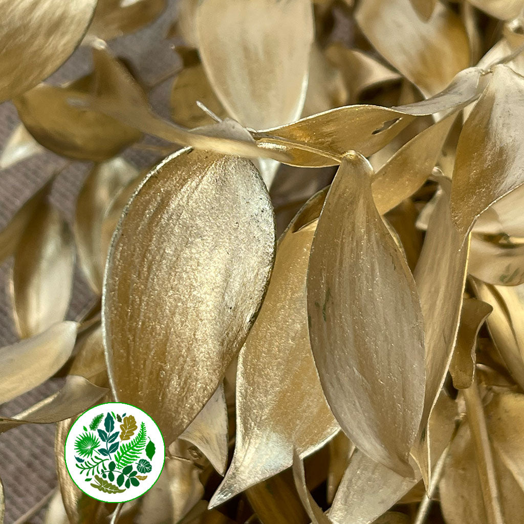 Ruscus &#39;Trailing&#39; Fresh (Painted Metallic Colours) (Various)