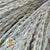 Grass 'Fluffy Silver Grass' (Natural) (DRY) (Various Sizes)