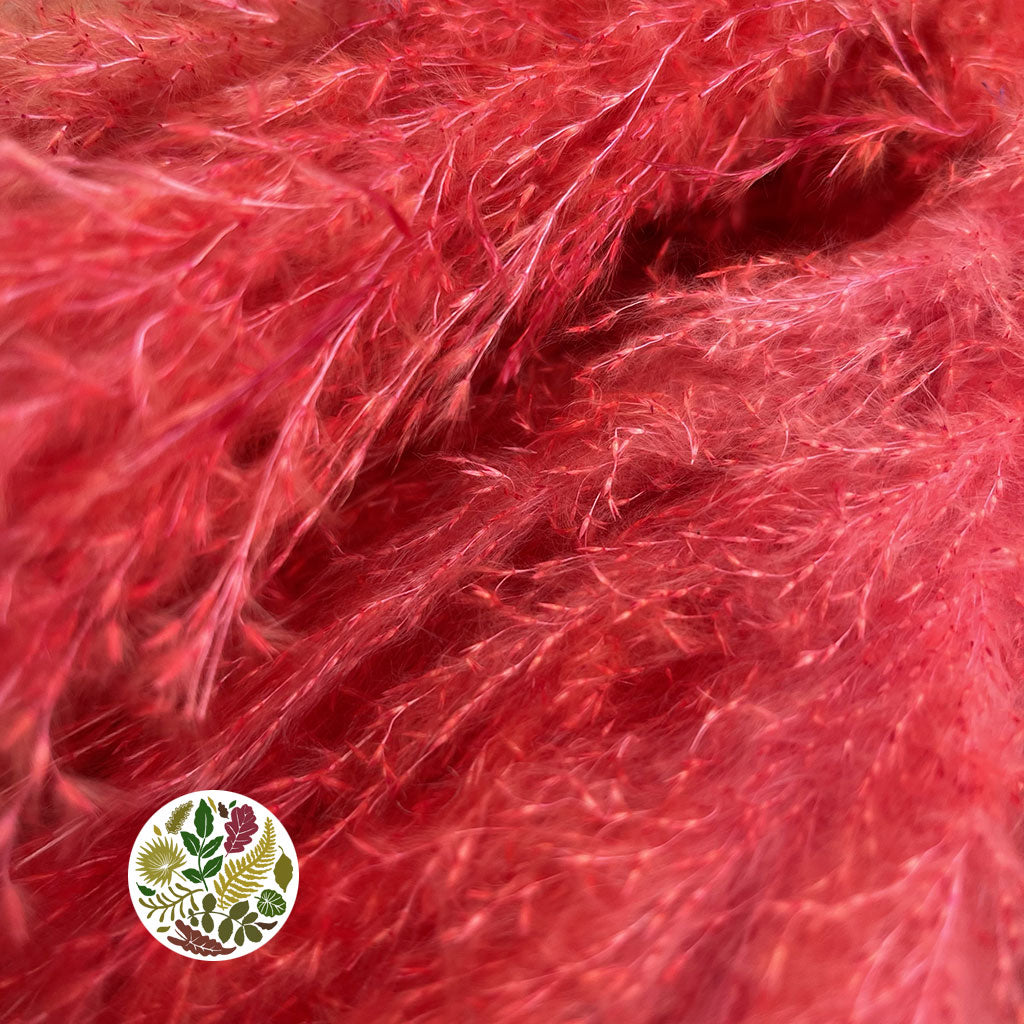 Grass &#39;Pampas&#39; (Dadang) (Coloured) (DRY) (Various Sizes)