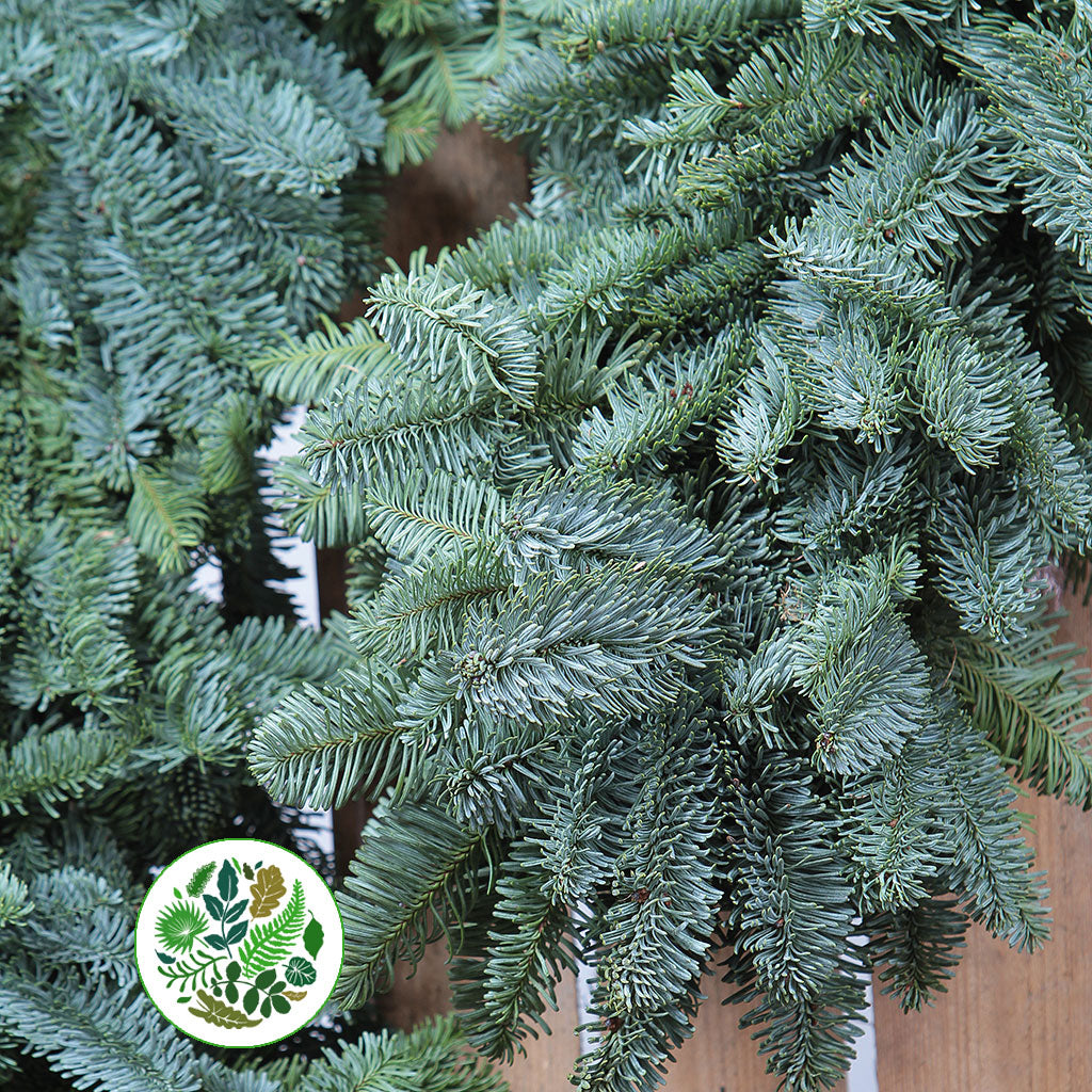 Garland &#39;Blue Pine&#39; Fresh (per metre)