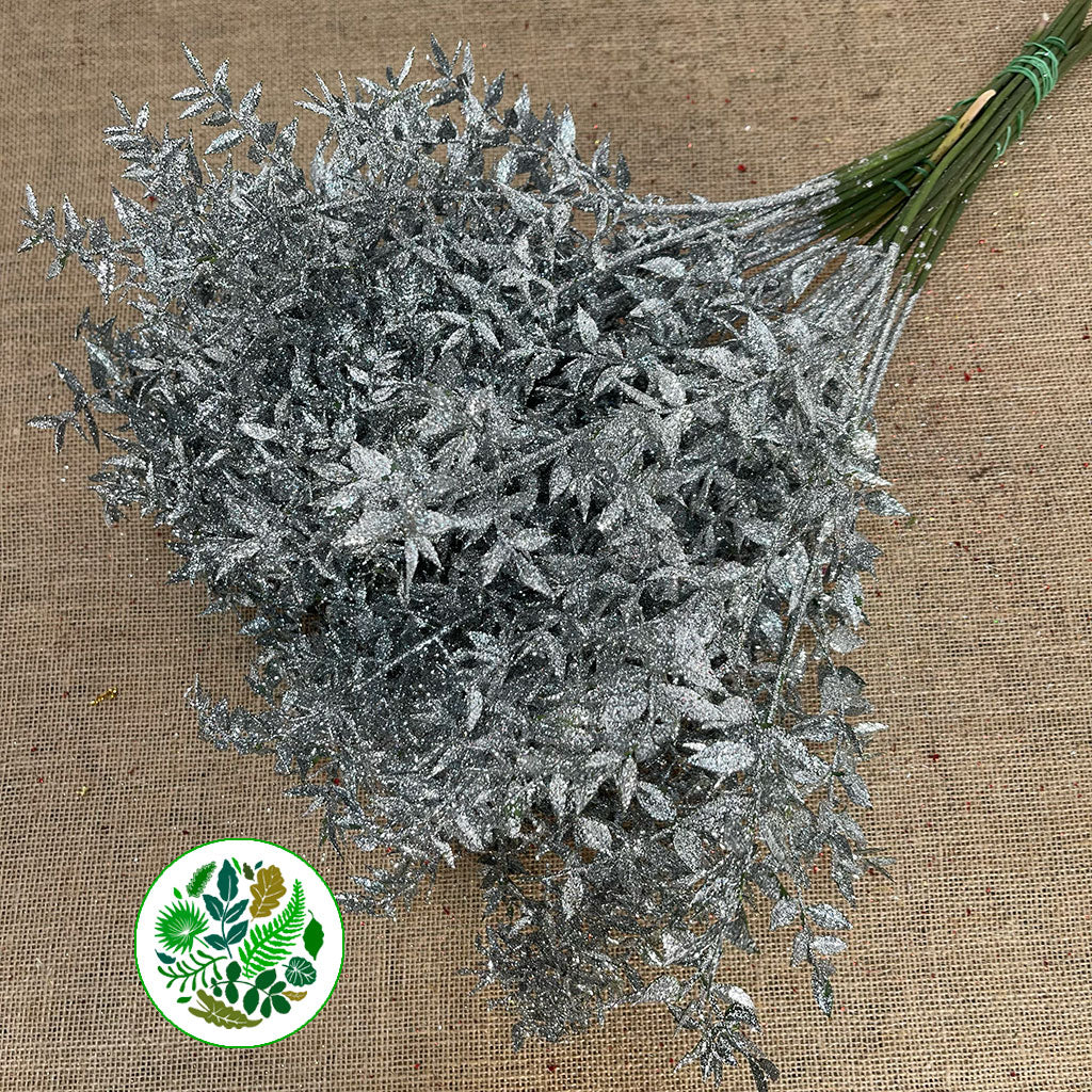 Ruscus &#39;Wild&#39; (Painted &amp; Glitter) (DRY) (x5)