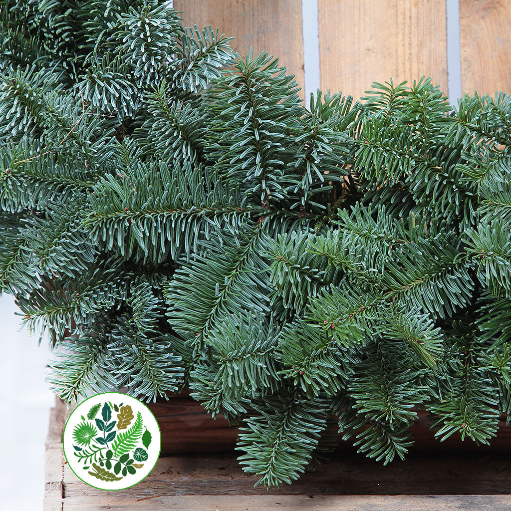 &#39;Blue Pine&#39; Wreaths (Various Sizes) (Metal Mossed Frames)