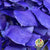 Eucalyptus 'Stuartiana' (Stabilised) (Painted) (DRY) (Various Colours)
