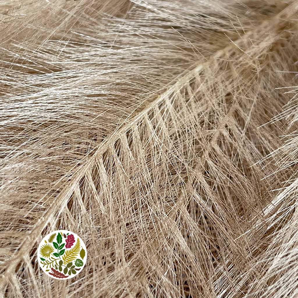 Artificial 'Panicle Grass' (Various Colours)