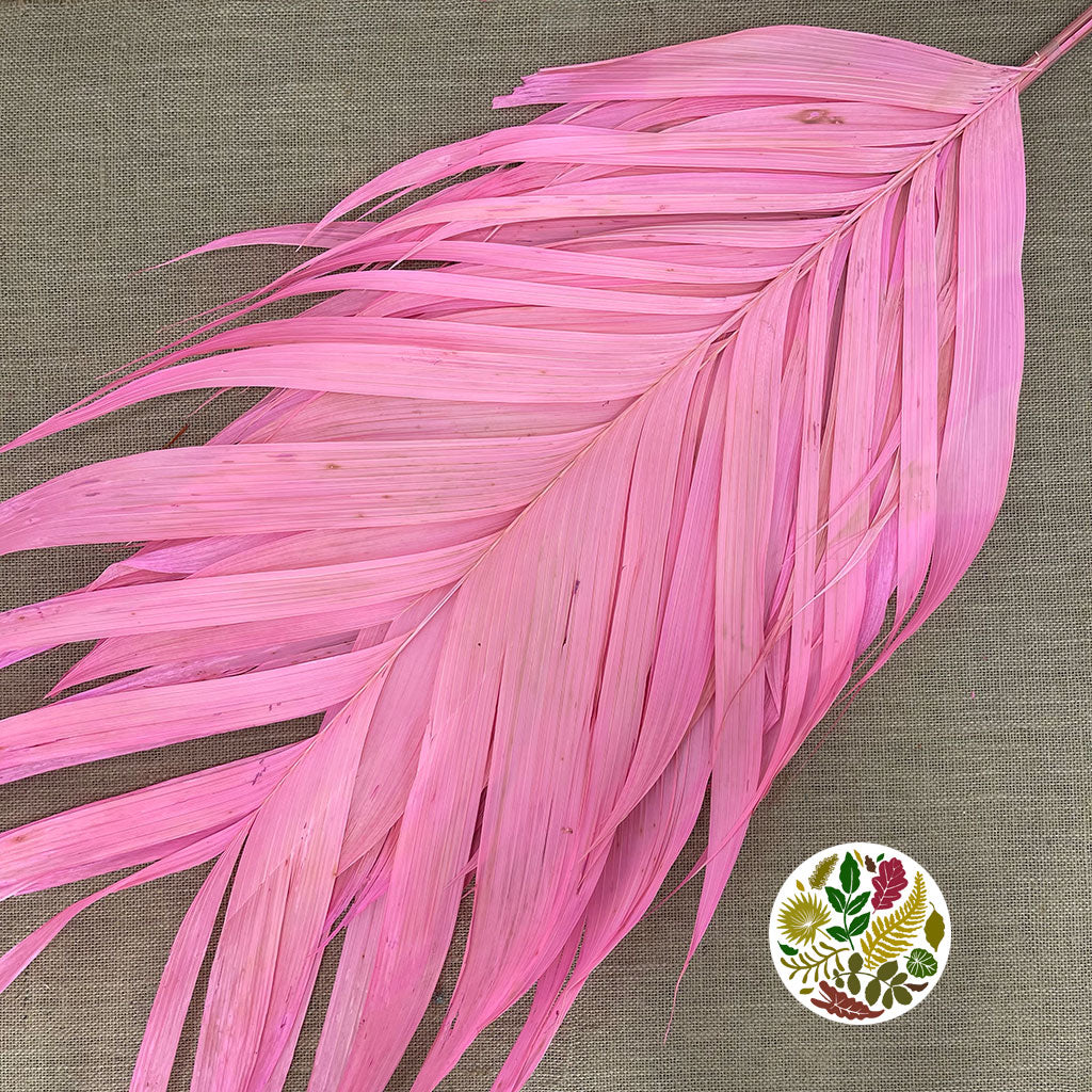 Aricana 'Leaves' (Various Colours) (DRY) 100cm (x10)