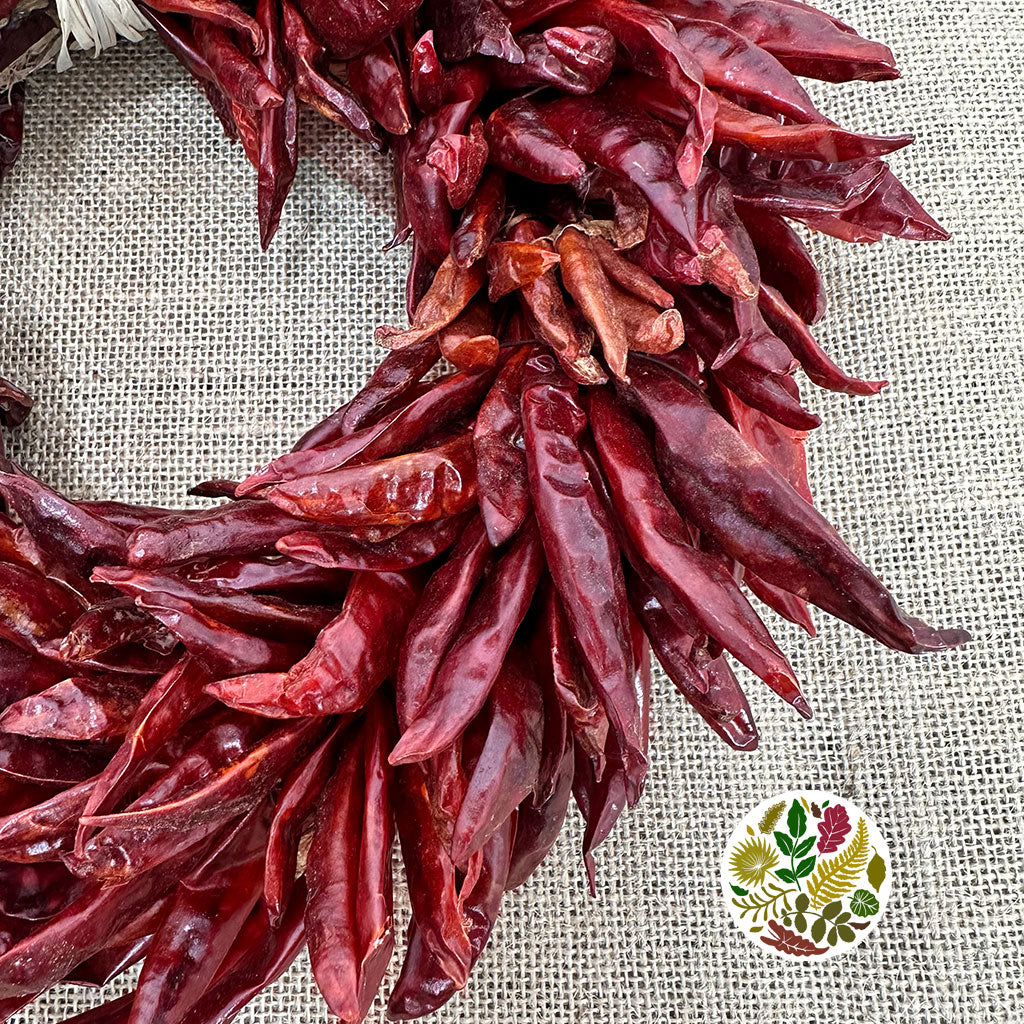 Wreath 'Chili Peppers' (DRY) (Various Sizes)