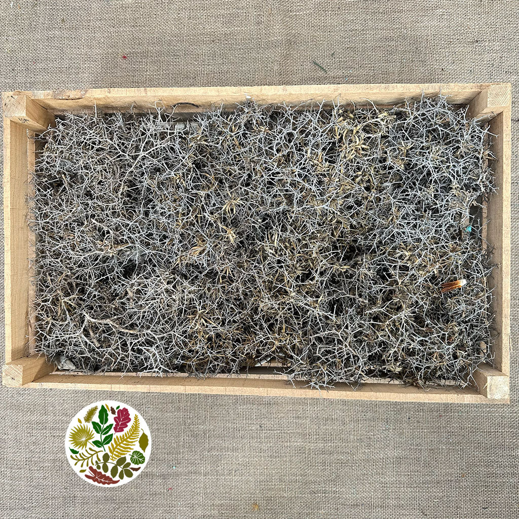 Iron Bush 'Natural' Crate (DRY) (750g)