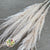 Grass 'Pampas' (Evita) (Bleached) (DRY) (Various Sizes)