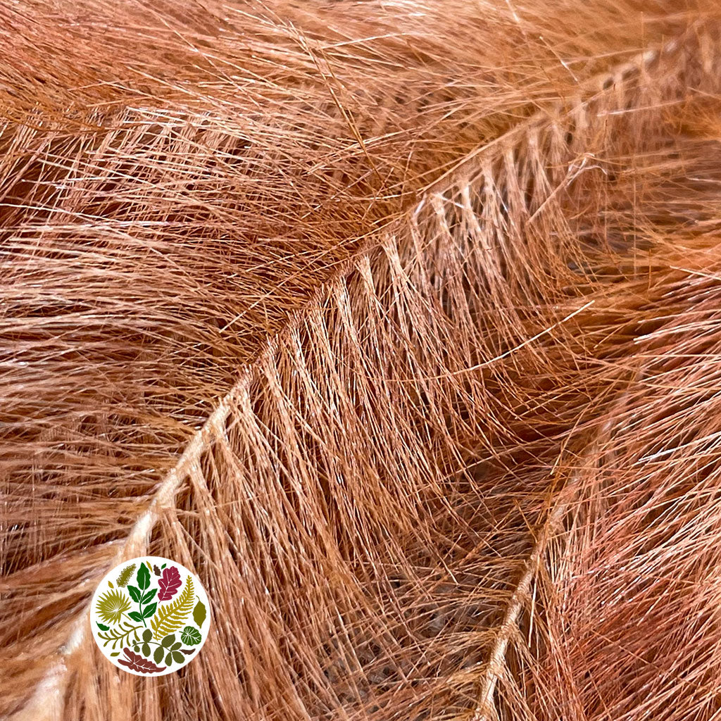 Artificial 'Panicle Grass' (Various Colours)