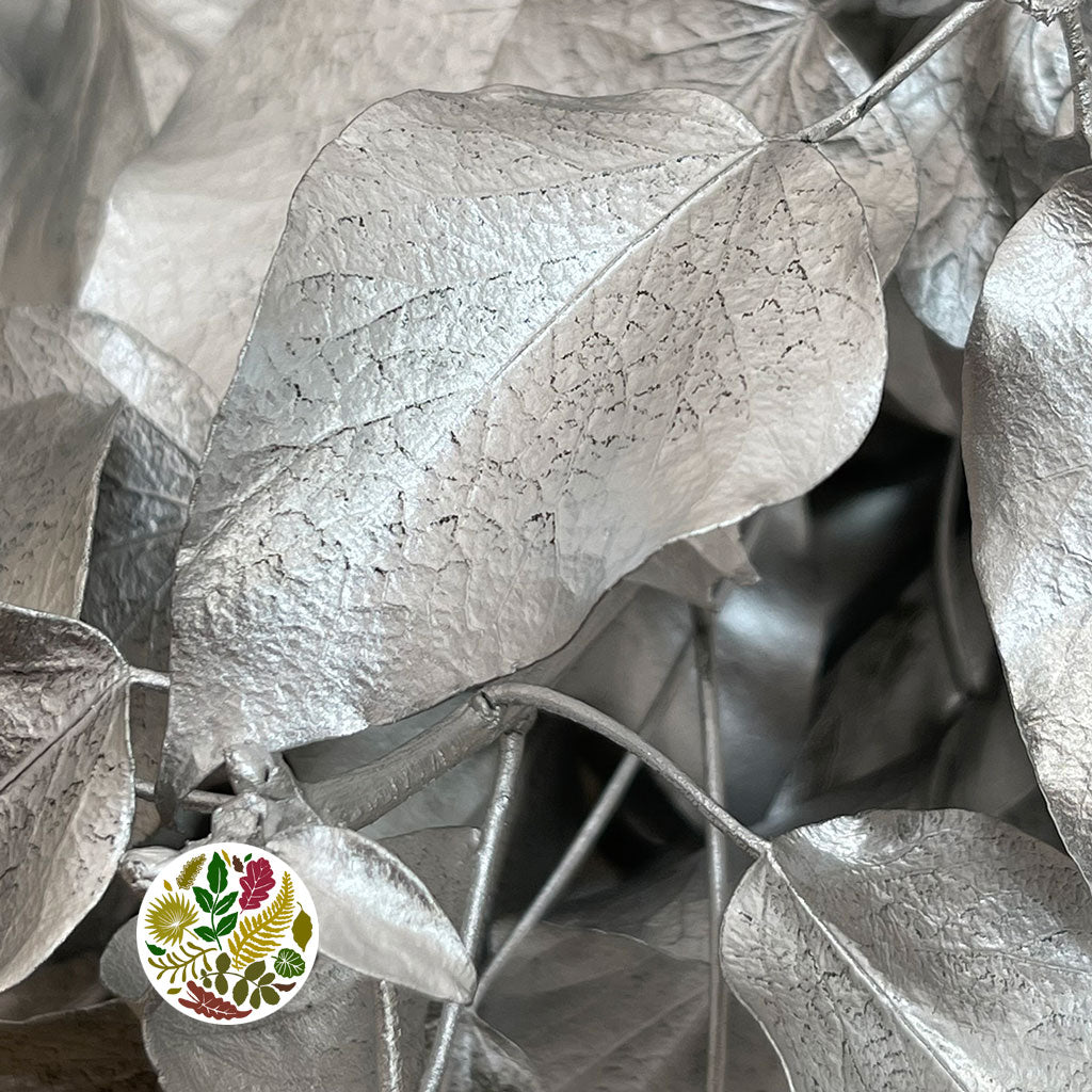 Ivy 'Foliage' (Preserved & Painted) (DRY) (Various Colours)