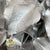 Ivy 'Foliage' (Preserved & Painted) (DRY) (Various Colours)