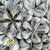 Wreath 'Kartoos' (White Wash) (DRY) (Various Sizes)