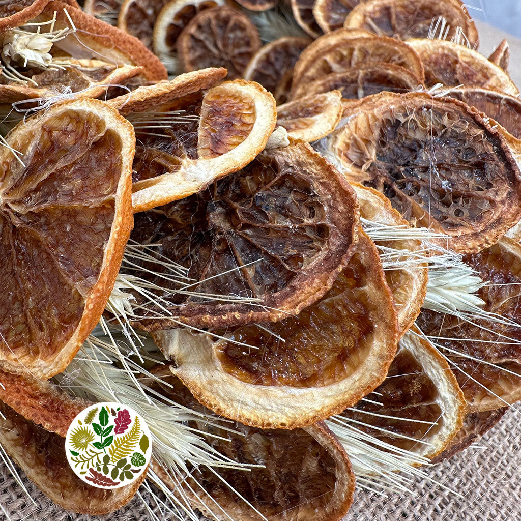 Wreath 'Orange Slices with Barley' (DRY)